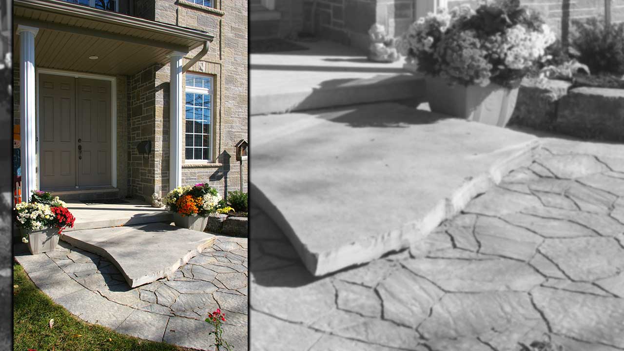Giant Flagstone 06