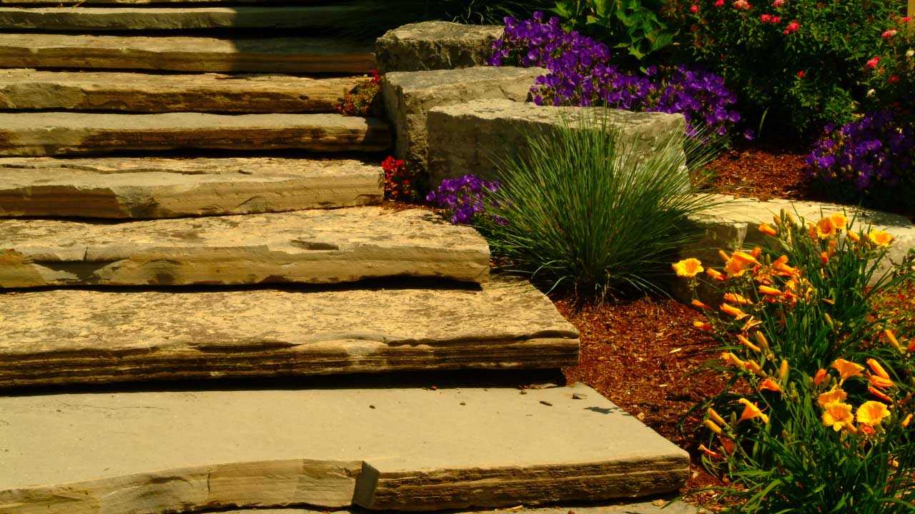 Giant Flagstone 08