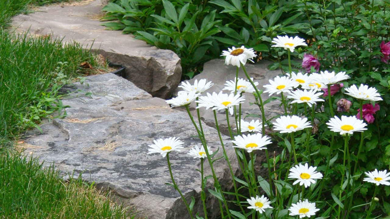 Natural Stones