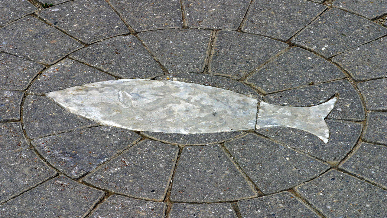 Paving Products09