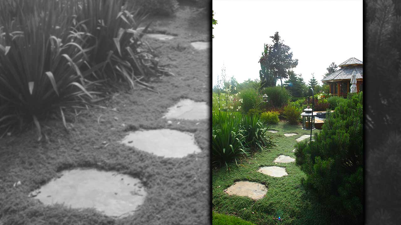 Stepping Stones 09