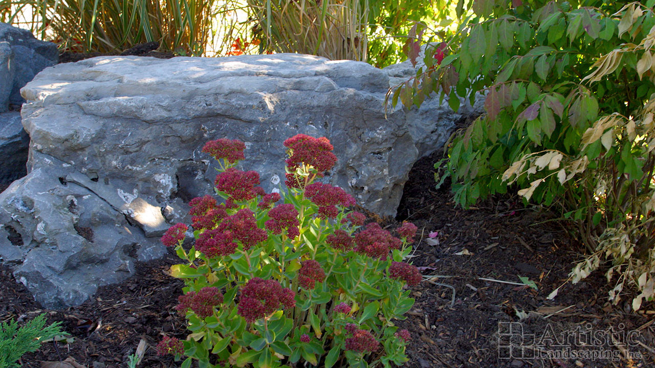 Garden Beds Plantings 07