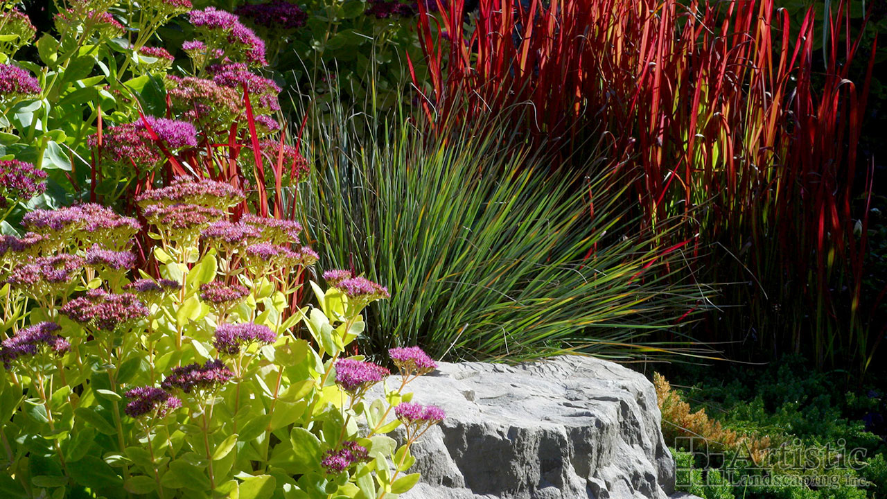 Garden Beds Plantings 16